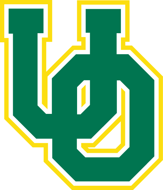 Oregon Ducks 1994-1998 Primary Logo iron on transfers for clothing